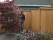 Yard Repair